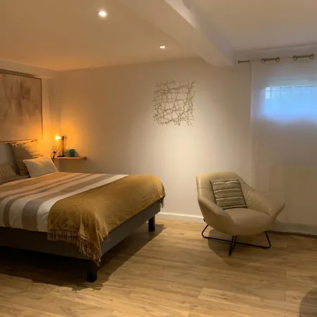 Le Chasseland Studio Avec Parking Acces Rapide Eurexpo Шасьё